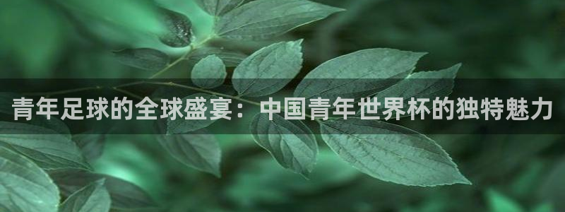 2026年世界杯赛程表时间：青年足球的全球盛宴：中国青年世界杯的独特魅力