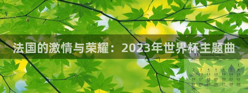 2026世界杯对阵图：法国的激情与荣耀：2023年世界杯主题曲