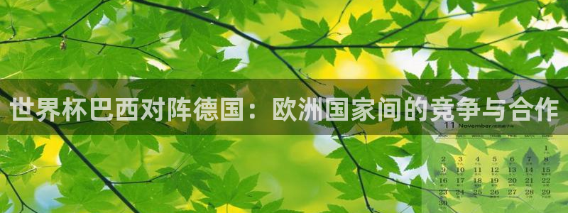 世界杯官网：世界杯巴西对阵德国：欧洲国家间的竞争与合作