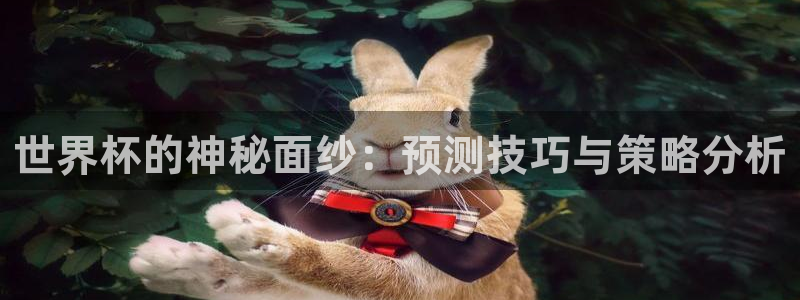 世界杯直播平台：世界杯的神秘面纱：预测技巧与策略分析