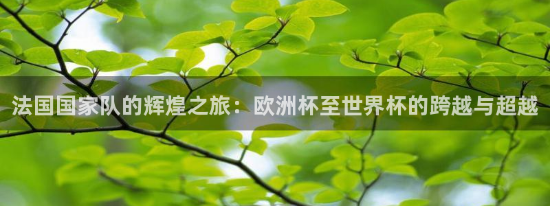 世界杯欧洲区世预赛赛程：法国国家队的辉煌之旅：欧洲杯至世界杯的跨越与超越