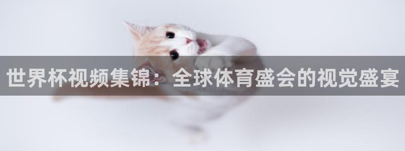 世界杯48支球队赛制：世界杯视频集锦：全球体育盛会的视觉盛宴