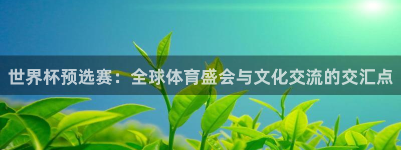 世界杯预选赛欧洲赛区积分榜：世界杯预选赛：全球体育盛会与文化交流的交汇点