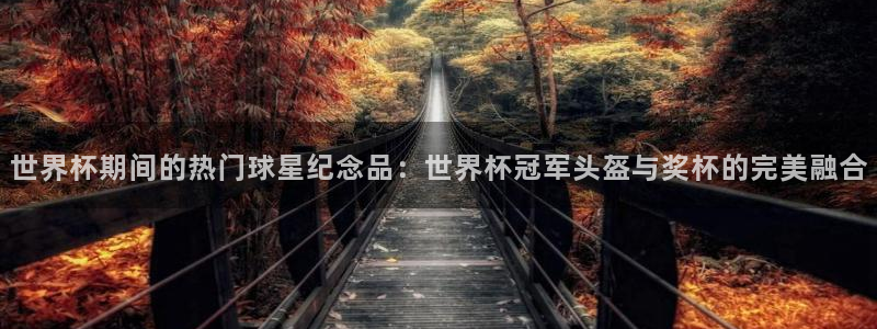 2026年男足世界杯：世界杯期间的热门球星纪念品：世界杯冠军头盔与奖杯的完美融合