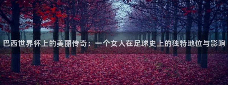 世界杯亚洲区预选赛赛程：巴西世界杯上的美丽传奇：一个女人在足球史上的独特地位与影响