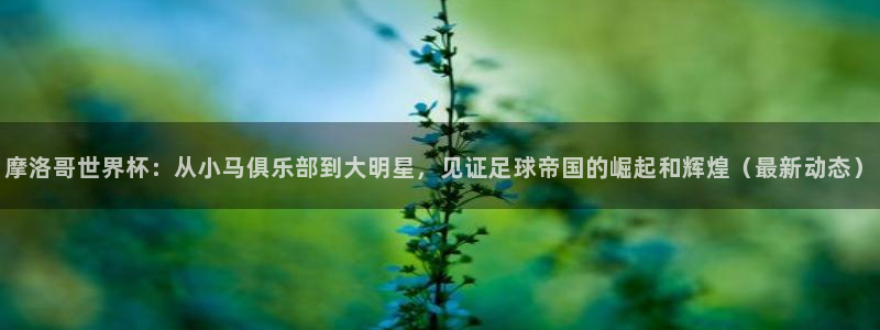 2026年世界杯赛程表时间：摩洛哥世界杯：从小马俱乐部到大明星，见证足球帝国的崛起和辉煌（最新动态）