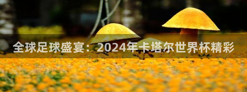 2026世界杯亚洲区预选赛赛程：全球足球盛宴：2024年卡塔尔世界杯精彩