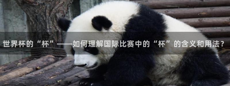 2026世界杯官网入口：世界杯的“杯”——如何理解国际比赛中的“杯”的含义和用法？