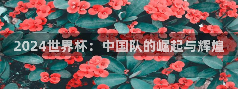 世界杯球队排名：2024世界杯：中国队的崛起与辉煌