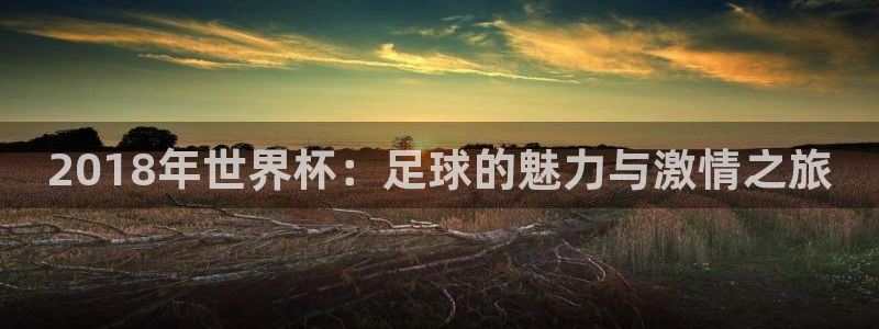 足球世界杯赛程：2018年世界杯：足球的魅力与激情之旅
