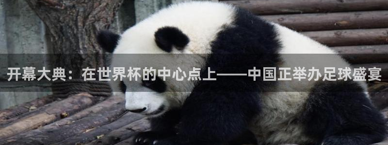 世界杯足球直播：开幕大典：在世界杯的中心点上——中国正举办足球盛宴