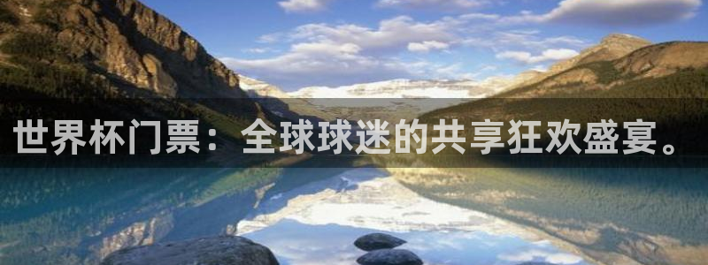 今年世界杯：世界杯门票：全球球迷的共享狂欢盛宴。